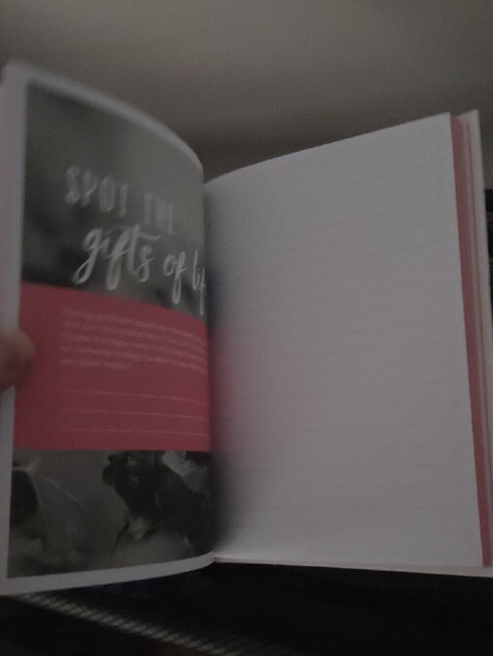 Finding Gratitude Guided Journal - Picture 3 of 4